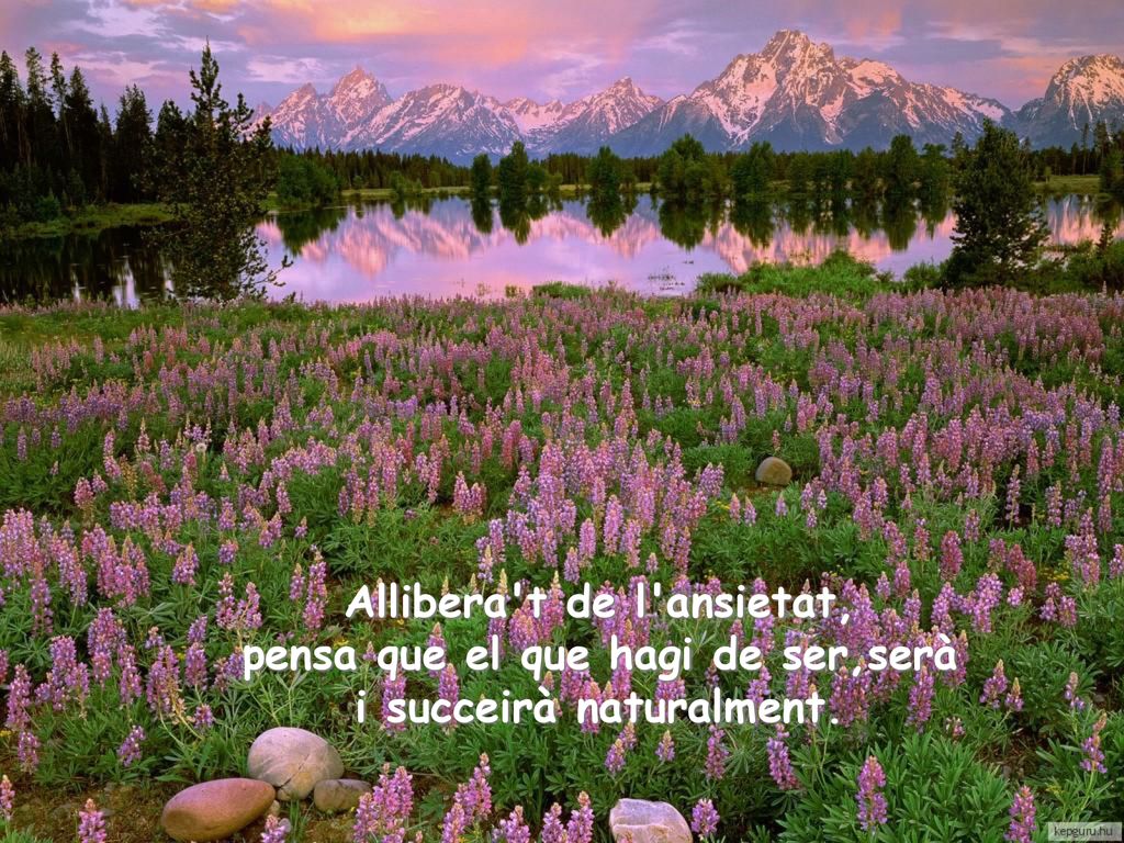 Allibera t de l ansietat, pensa que el que hagi de ser,serà i succeirà naturalment.