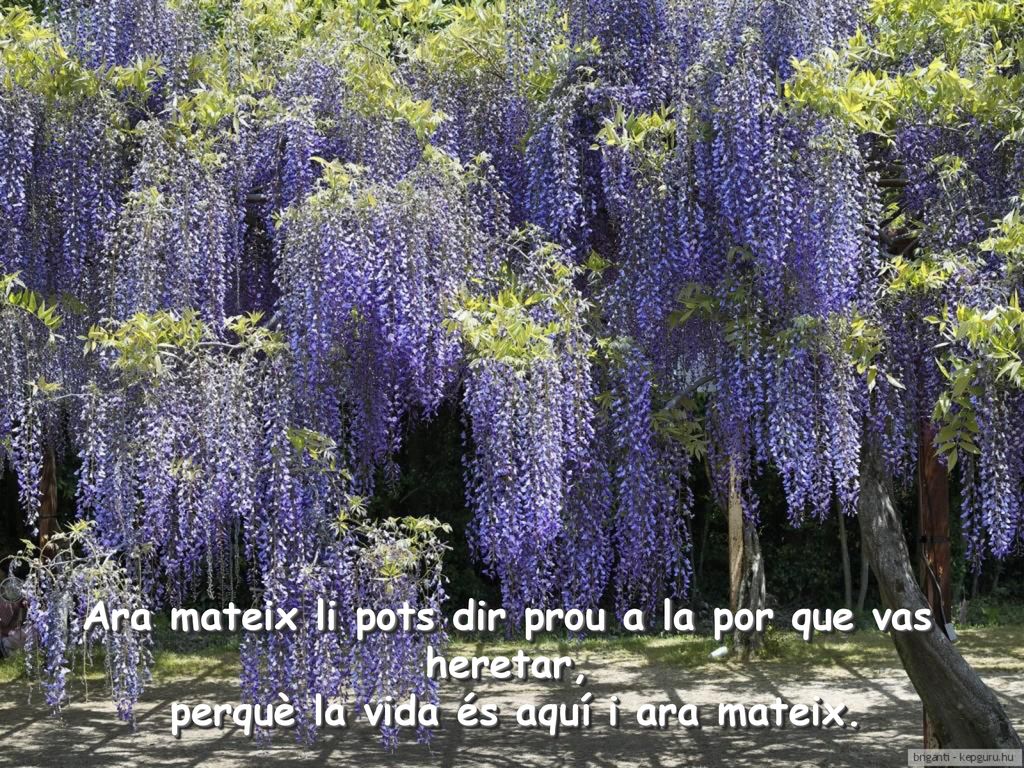 Ara mateix li pots dir prou a la por que vas heretar, perquè la vida és aquí i ara mateix.
