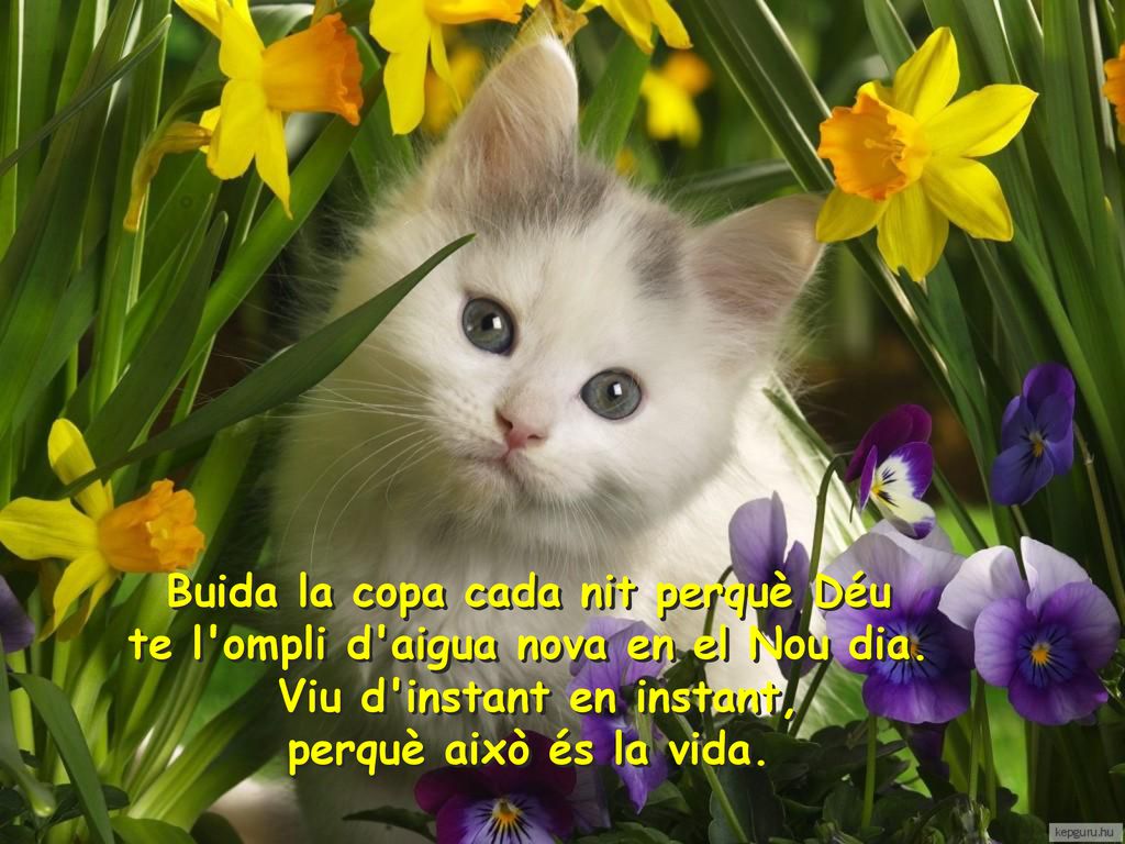 Buida la copa cada nit perquè Déu te l ompli d aigua nova en el Nou dia. Viu d instant en instant, perquè això és la vida.
