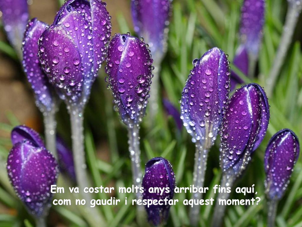 Em va costar molts anys arribar fins aquí, com no gaudir i respectar aquest moment