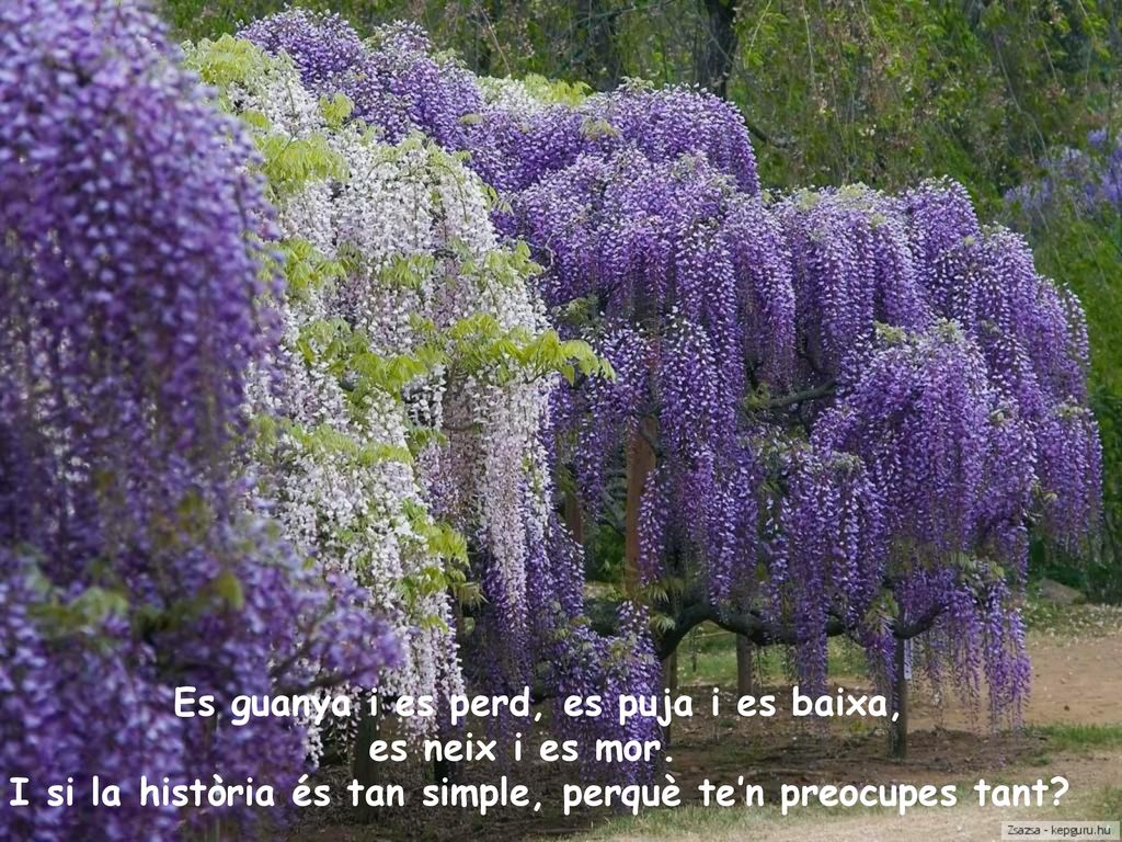Es guanya i es perd, es puja i es baixa, es neix i es mor.