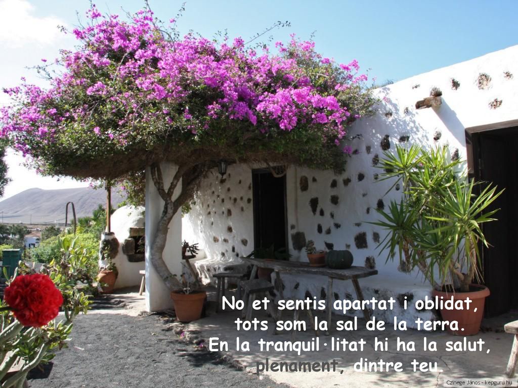 No et sentis apartat i oblidat, tots som la sal de la terra