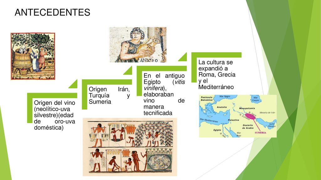 ANTECEDENTES La cultura se expandió a Roma, Grecia y el Mediterráneo