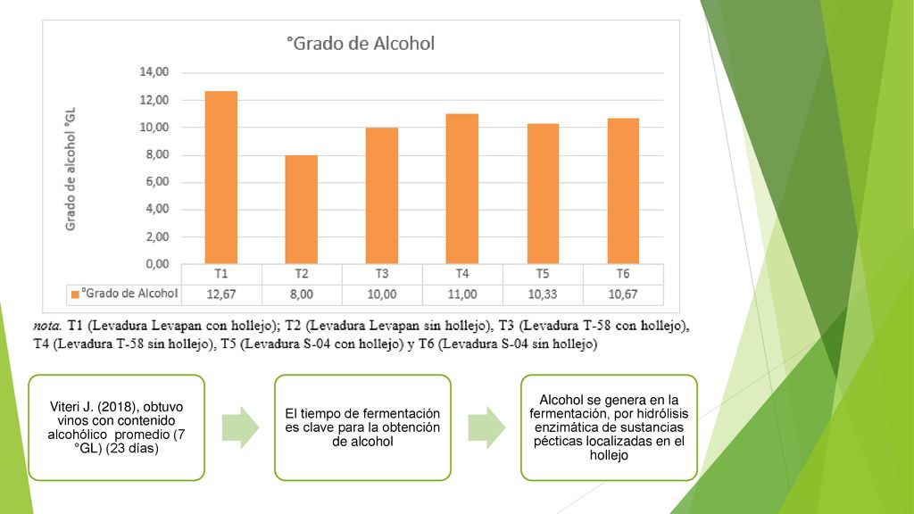 El tiempo de fermentación es clave para la obtención de alcohol