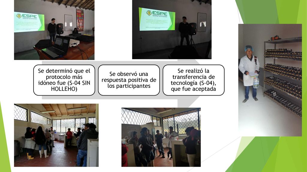 Se determinó que el protocolo más idóneo fue (S-04 SIN HOLLEHO)