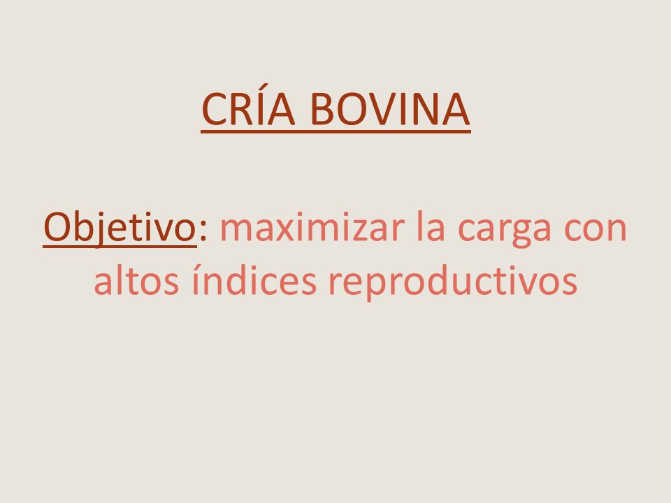 CRÍA BOVINA Objetivo: maximizar la carga con altos índices reproductivos