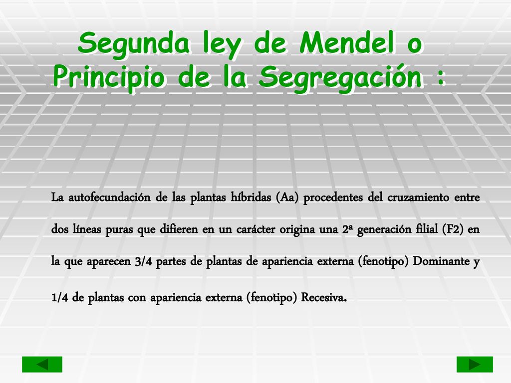 Segunda ley de Mendel o Principio de la Segregación :
