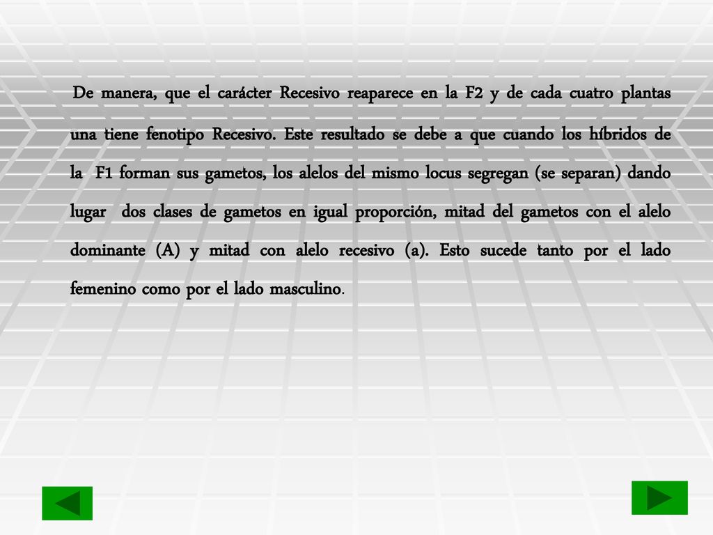 De manera, que el carácter Recesivo reaparece en la F2 y de cada cuatro plantas una tiene fenotipo Recesivo.