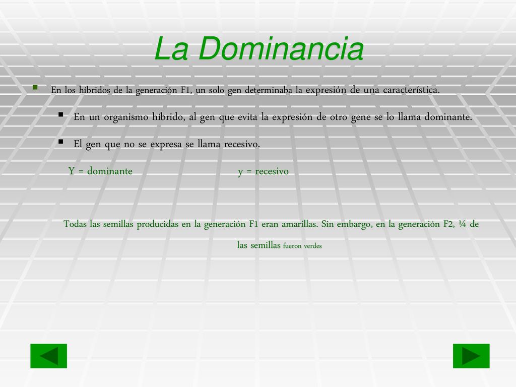La Dominancia En los híbridos de la generación F1, un solo gen determinaba la expresión de una característica.