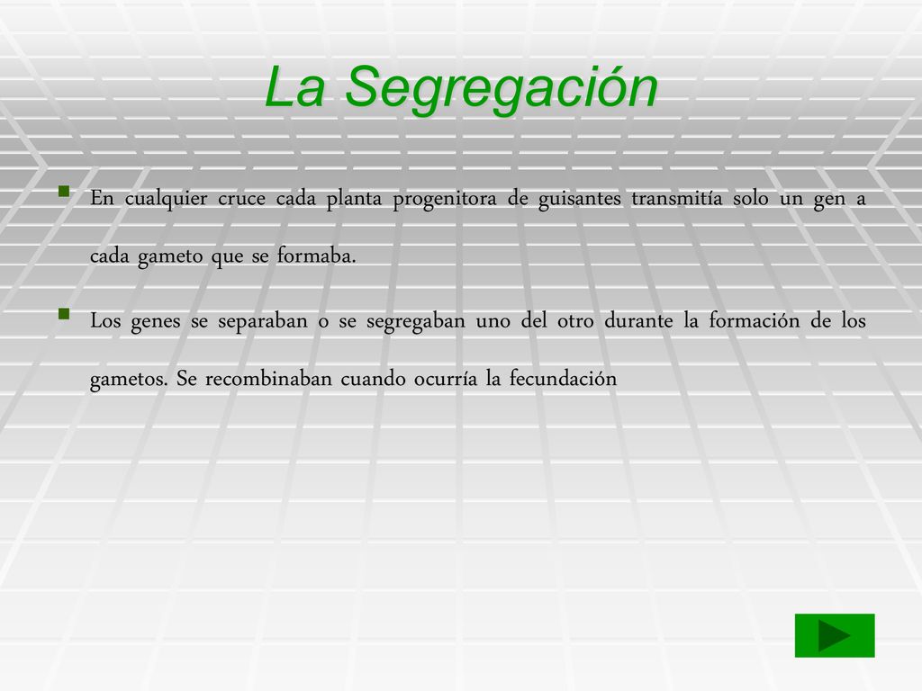 La Segregación En cualquier cruce cada planta progenitora de guisantes transmitía solo un gen a cada gameto que se formaba.