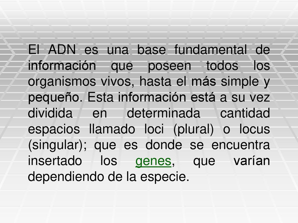 El ADN es una base fundamental de información que poseen todos los organismos vivos, hasta el más simple y pequeño.