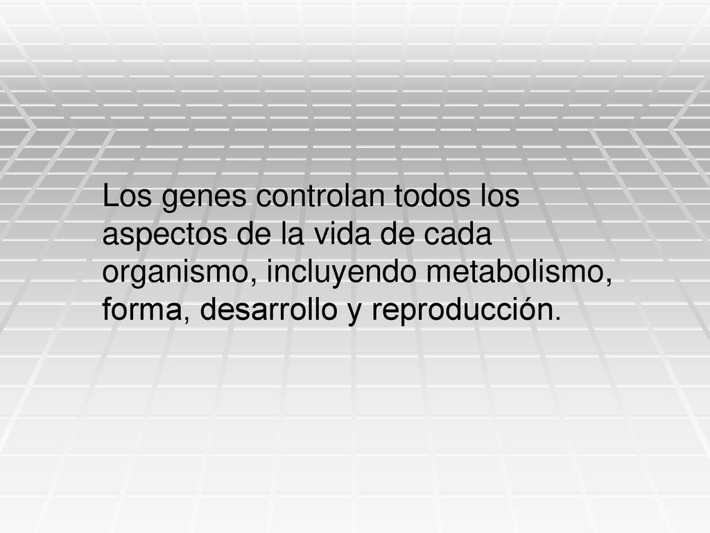 Los genes controlan todos los aspectos de la vida de cada organismo, incluyendo metabolismo, forma, desarrollo y reproducción.