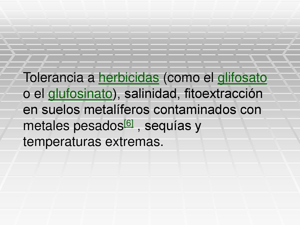 Tolerancia a herbicidas (como el glifosato o el glufosinato), salinidad, fitoextracción en suelos metalíferos contaminados con metales pesados[6] , sequías y temperaturas extremas.