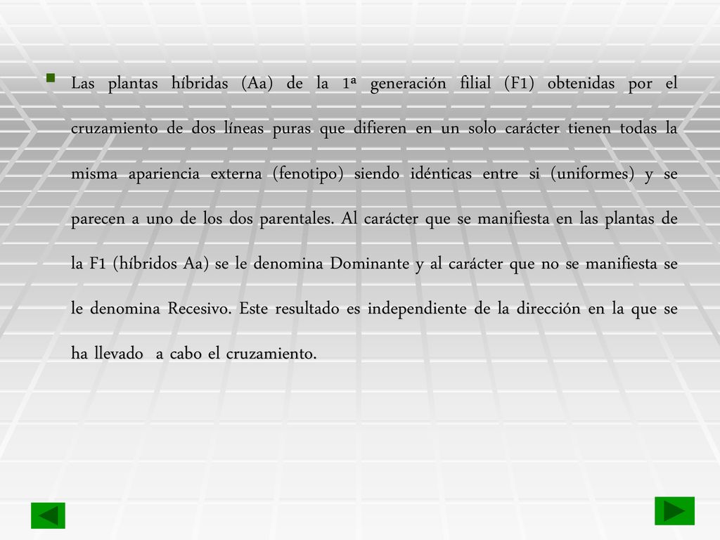 Las plantas híbridas (Aa) de la 1ª generación filial (F1) obtenidas por el cruzamiento de dos líneas puras que difieren en un solo carácter tienen todas la misma apariencia externa (fenotipo) siendo idénticas entre si (uniformes) y se parecen a uno de los dos parentales.
