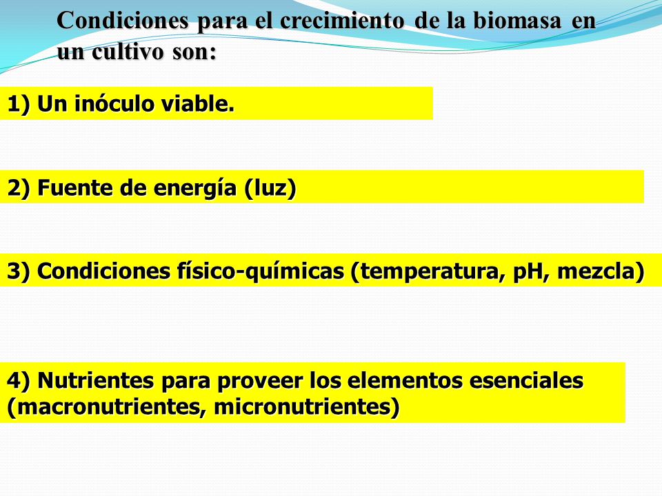 Condiciones para el crecimiento de la biomasa en un cultivo son: