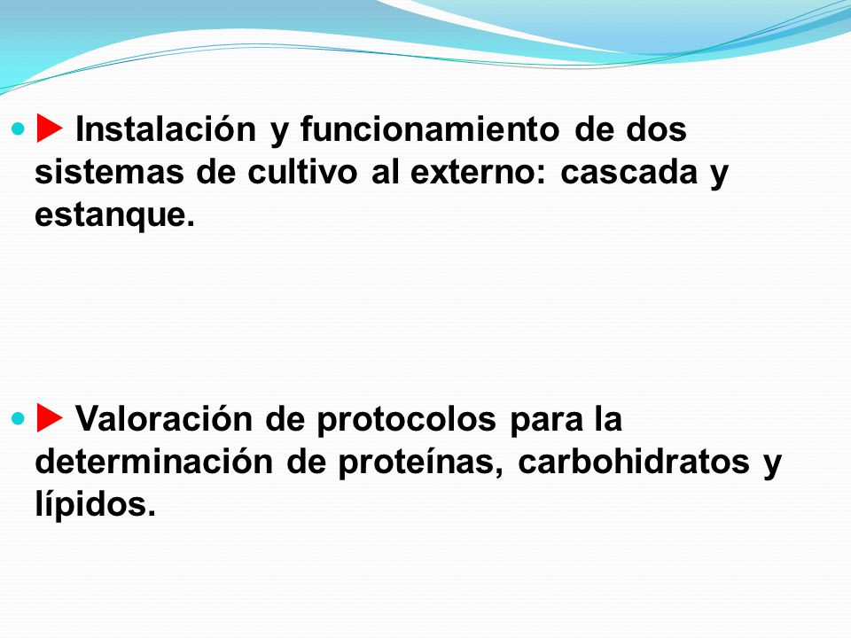  Instalación y funcionamiento de dos sistemas de cultivo al externo: cascada y estanque.