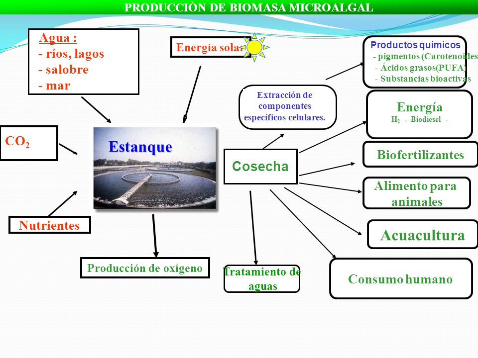 Estanque Acuacultura - ríos, lagos - salobre - mar Energía CO2
