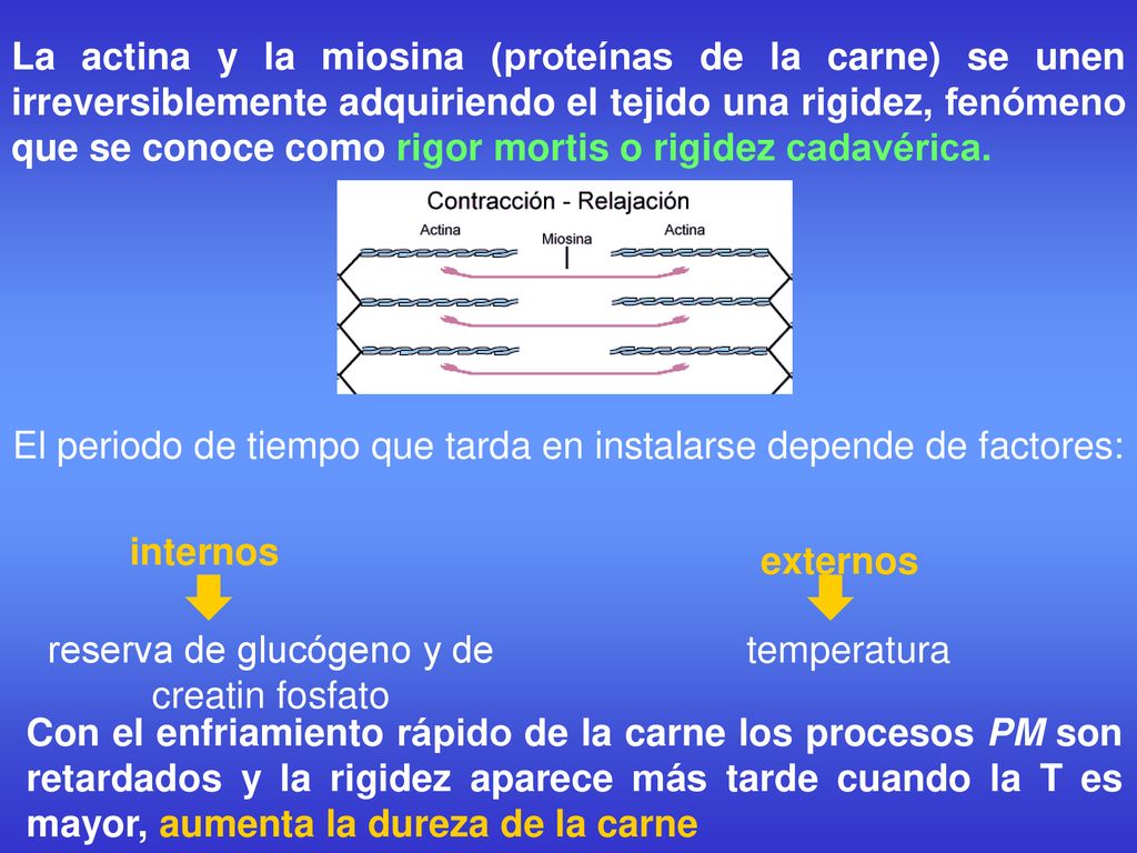 El periodo de tiempo que tarda en instalarse depende de factores: