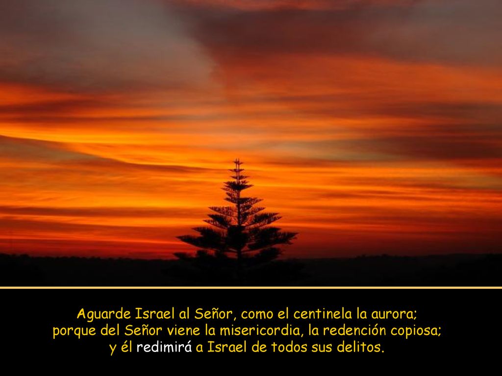 Aguarde Israel al Señor, como el centinela la aurora; porque del Señor viene la misericordia, la redención copiosa; y él redimirá a Israel de todos sus delitos.