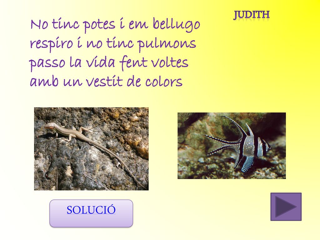 No tinc potes i em bellugo respiro i no tinc pulmons