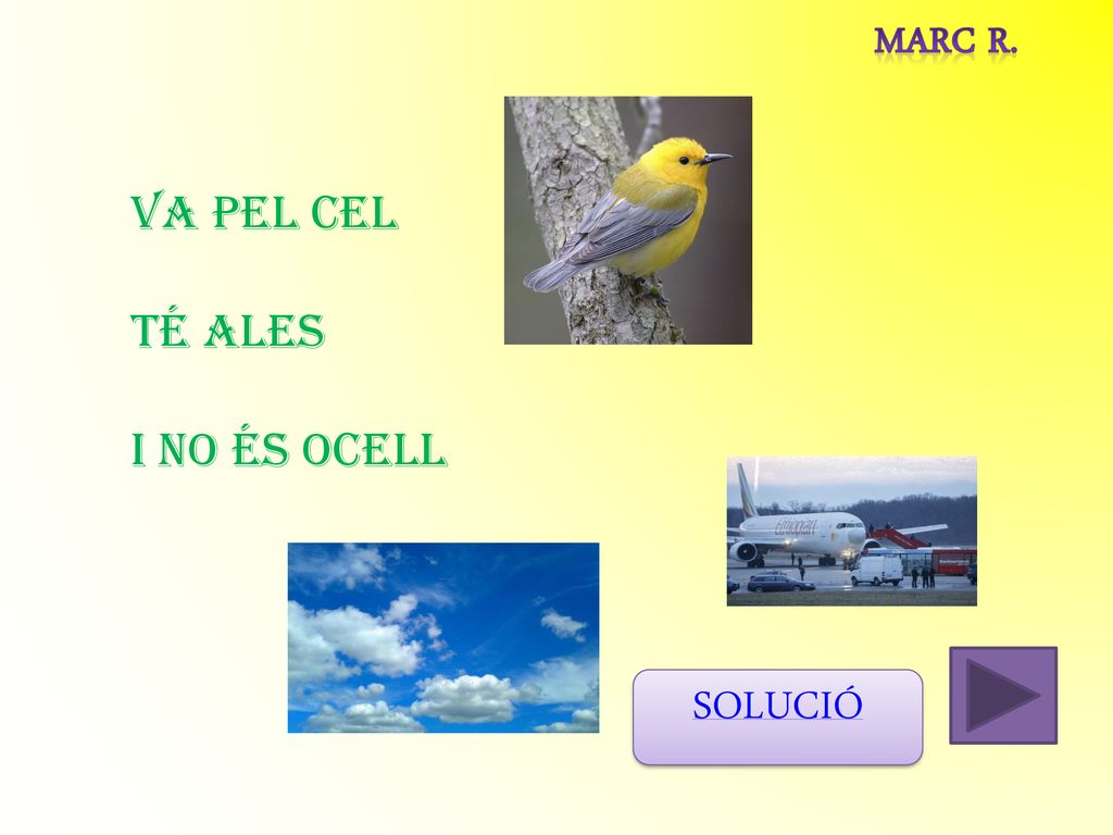 Marc R. Va pel cel té ales i no és ocell SOLUCIÓ