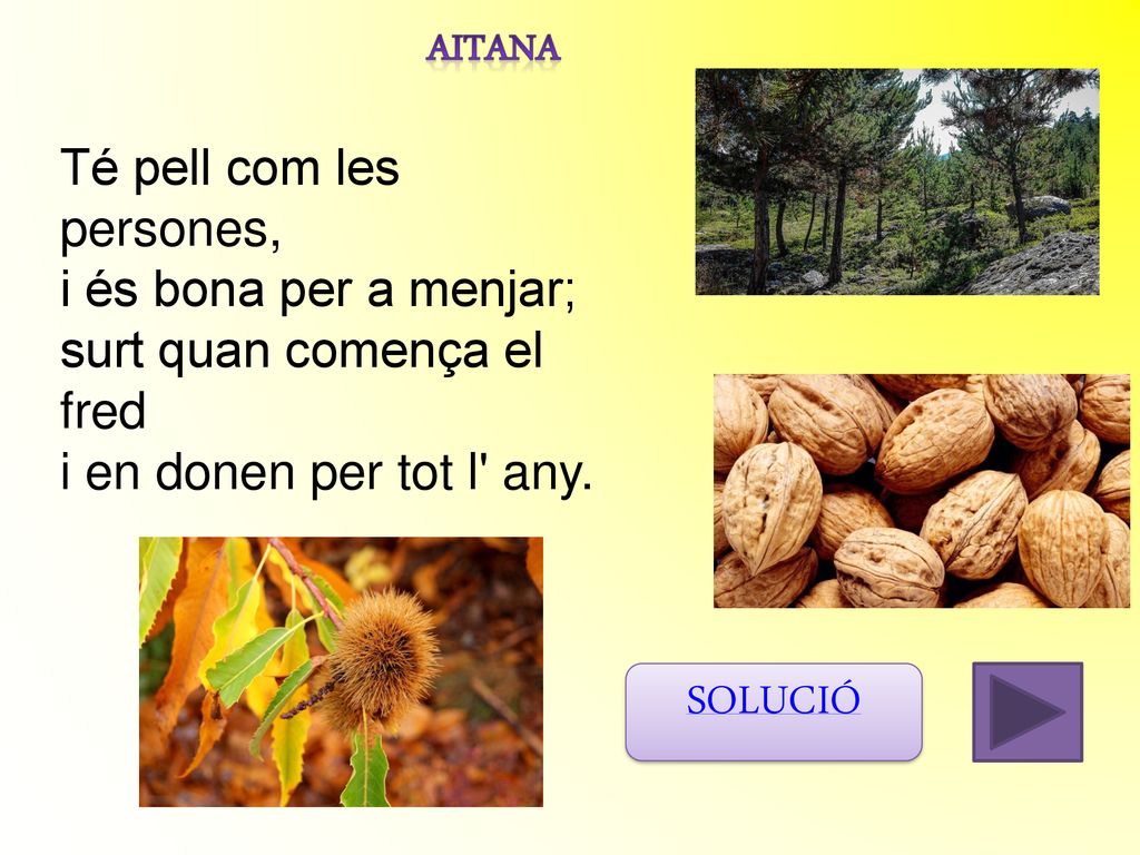 SOLUCIÓ AITANA Té pell com les persones, i és bona per a menjar;