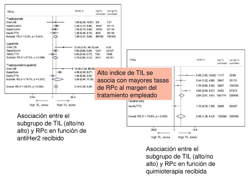 Alto indice de TIL se asocia con mayores tasas de RPc al margen del tratamiento empleado