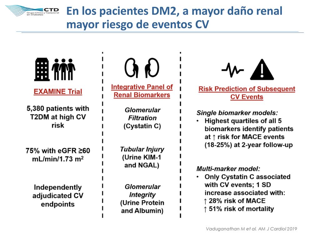 En los pacientes DM2, a mayor daño renal mayor riesgo de eventos CV