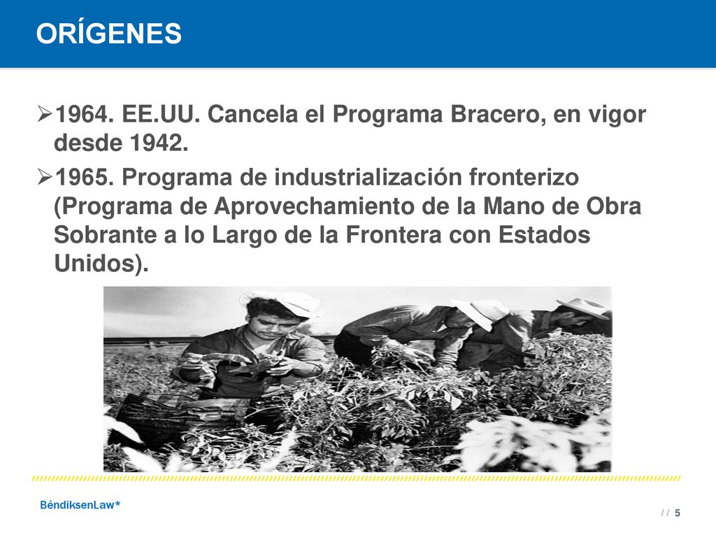 ORÍGENES EE.UU. Cancela el Programa Bracero, en vigor desde