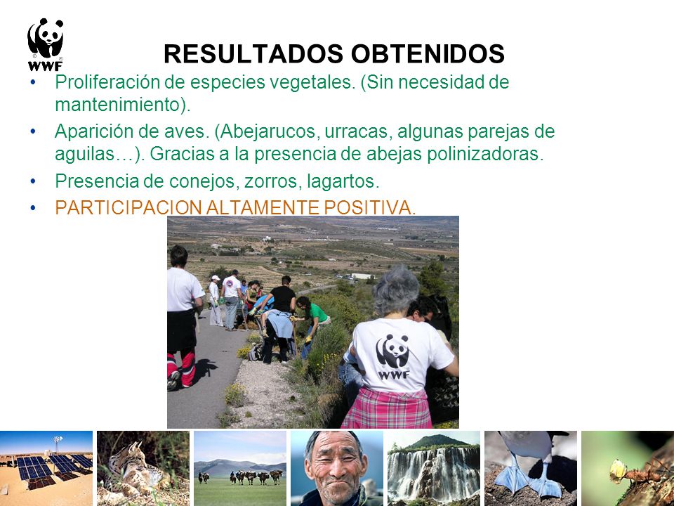 RESULTADOS OBTENIDOS Proliferación de especies vegetales. (Sin necesidad de mantenimiento).