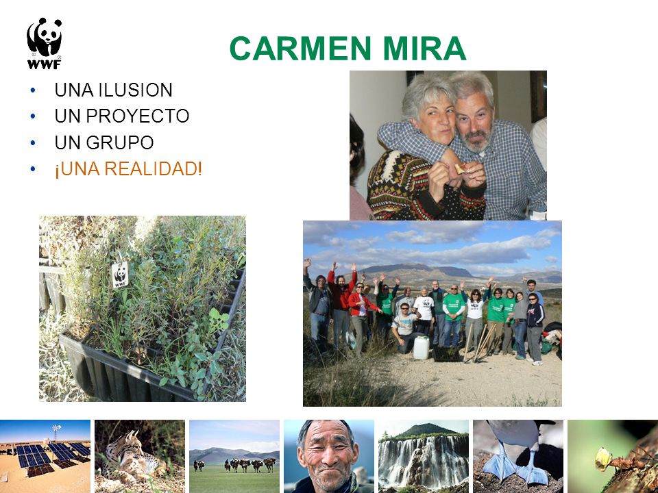 CARMEN MIRA UNA ILUSION UN PROYECTO UN GRUPO ¡UNA REALIDAD!