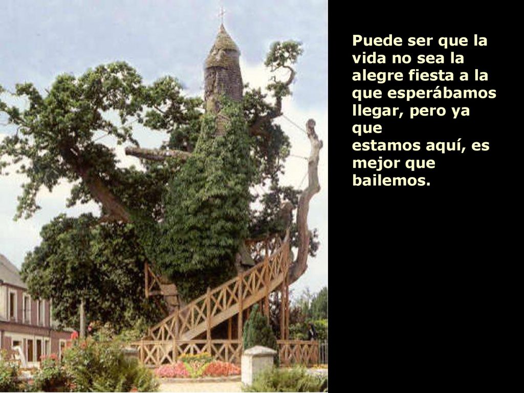 Puede ser que la vida no sea la alegre fiesta a la que esperábamos llegar, pero ya que