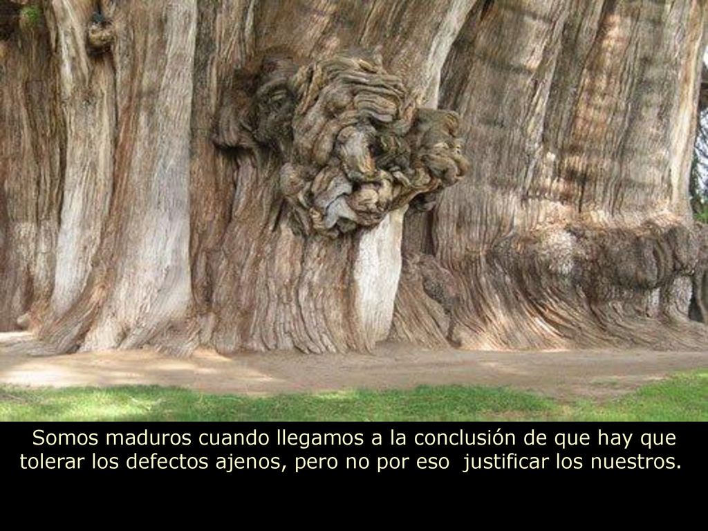 Somos maduros cuando llegamos a la conclusión de que hay que tolerar los defectos ajenos, pero no por eso justificar los nuestros.