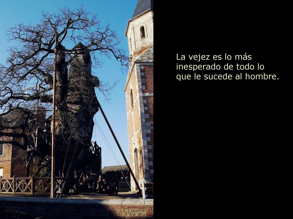 La vejez es lo más inesperado de todo lo que le sucede al hombre.