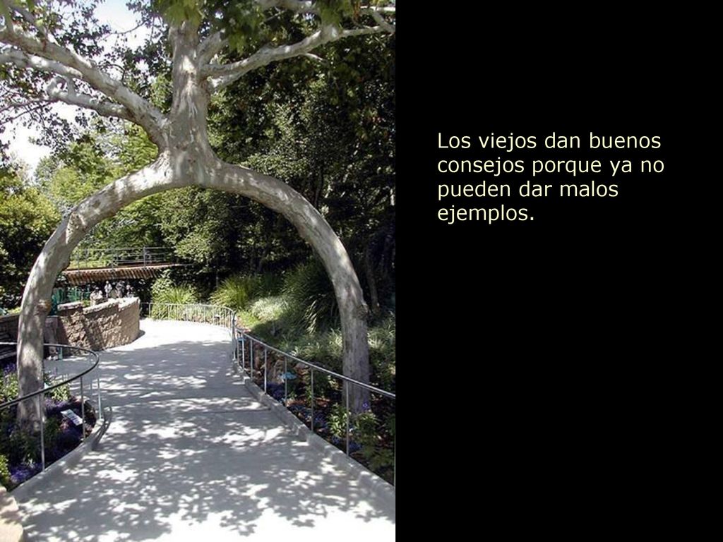 Los viejos dan buenos consejos porque ya no pueden dar malos ejemplos.