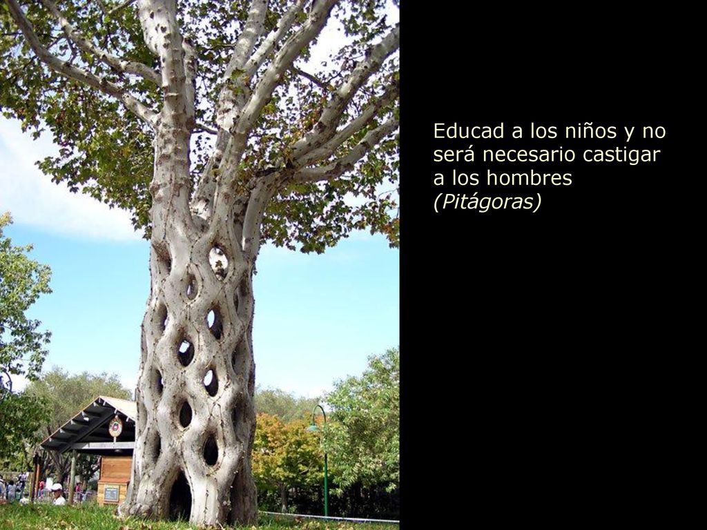 Educad a los niños y no será necesario castigar a los hombres (Pitágoras)