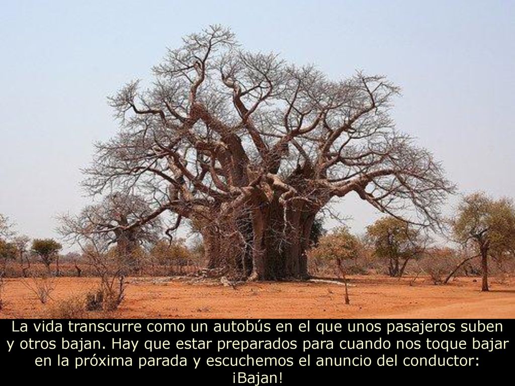 La vida transcurre como un autobús en el que unos pasajeros suben y otros bajan.