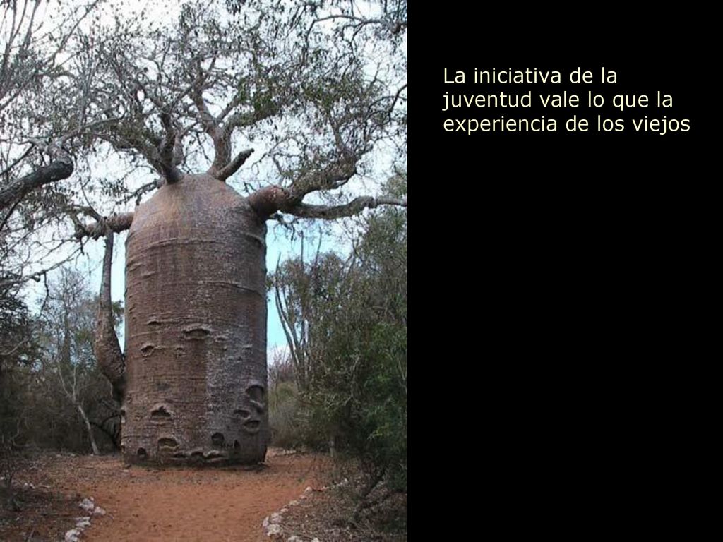 La iniciativa de la juventud vale lo que la experiencia de los viejos