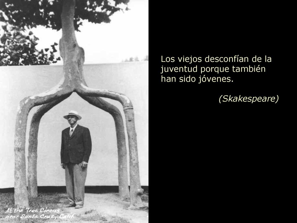 Los viejos desconfían de la juventud porque también han sido jóvenes.