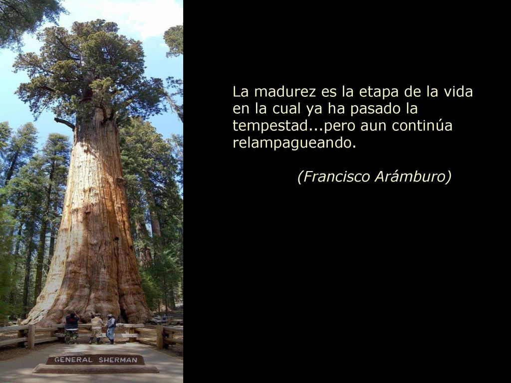 La madurez es la etapa de la vida en la cual ya ha pasado la tempestad