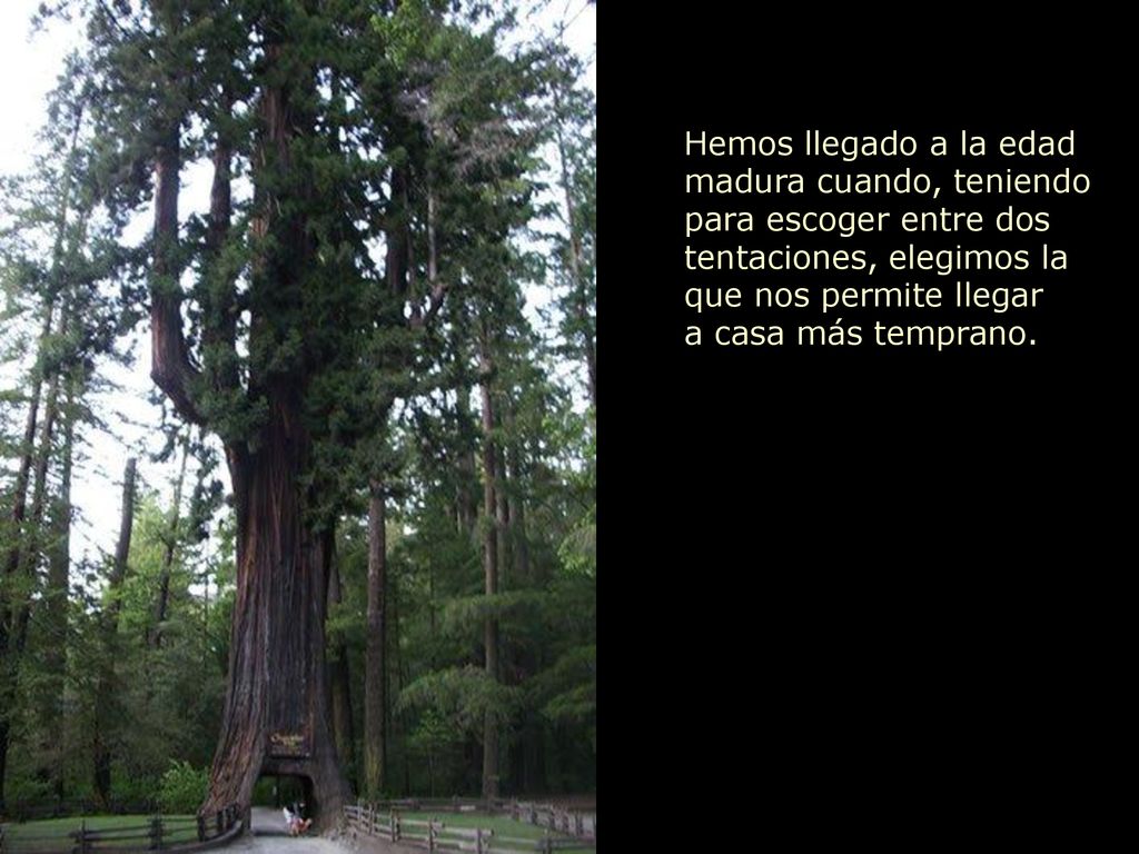 Hemos llegado a la edad madura cuando, teniendo para escoger entre dos tentaciones, elegimos la que nos permite llegar a casa más temprano.