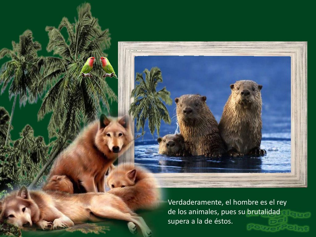 Verdaderamente, el hombre es el rey de los animales, pues su brutalidad supera a la de éstos.