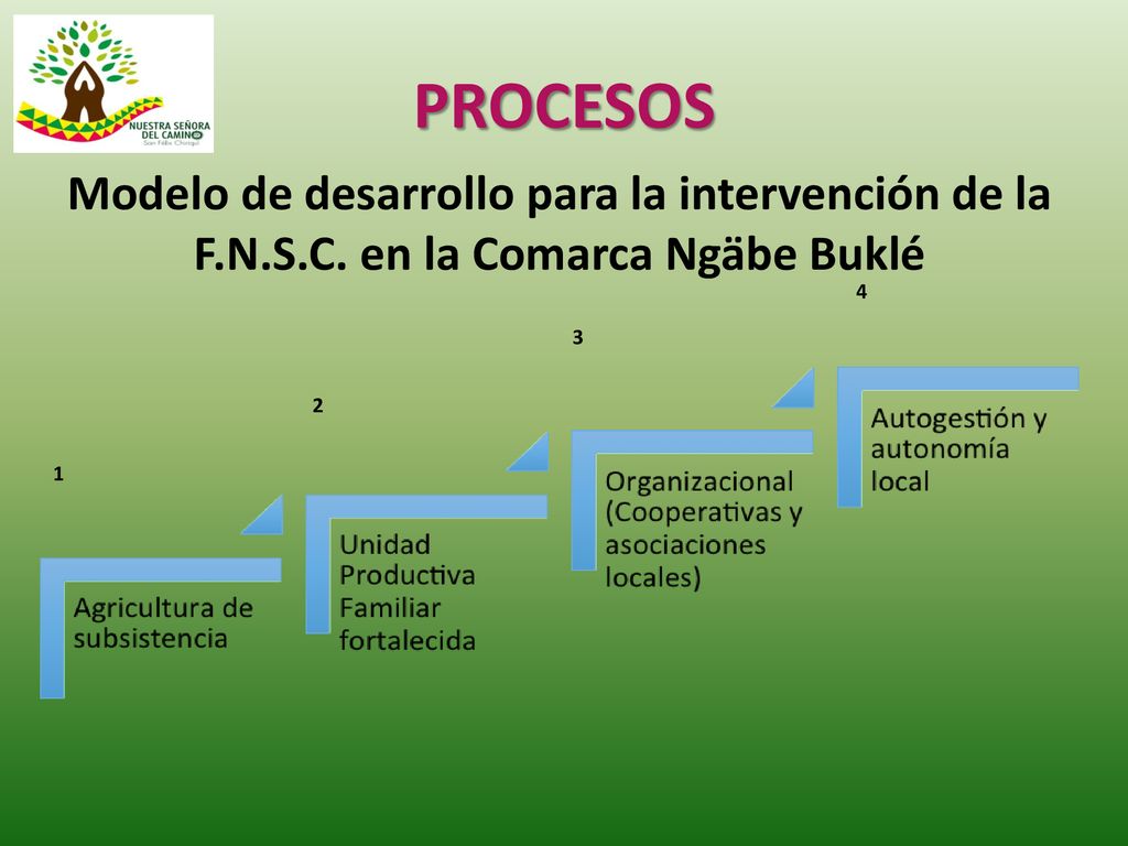 PROCESOS Modelo de desarrollo para la intervención de la F.N.S.C. en la Comarca Ngäbe Buklé
