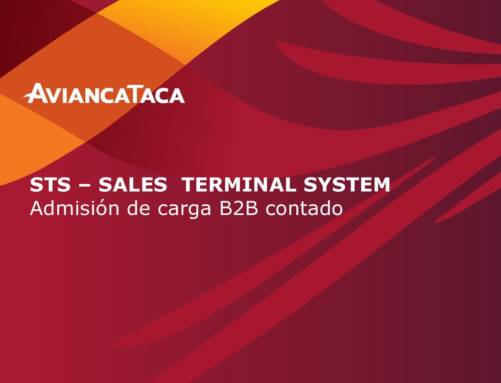 STS – SALES TERMINAL SYSTEM Admisión de carga B2B contado