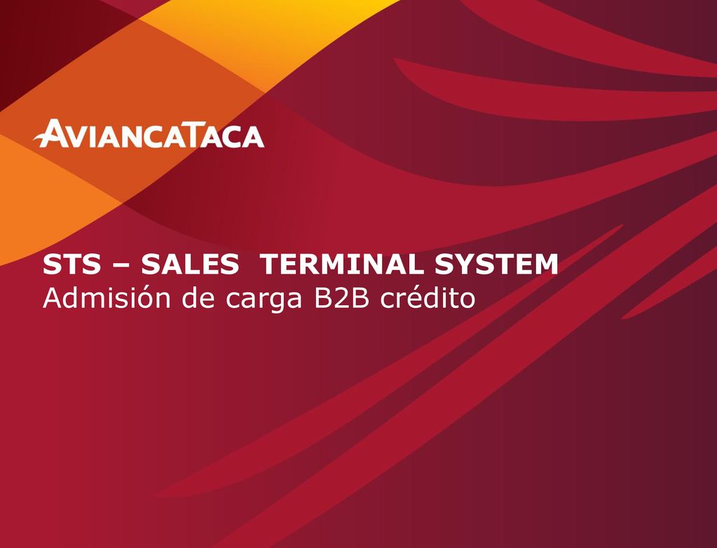 STS – SALES TERMINAL SYSTEM Admisión de carga B2B crédito