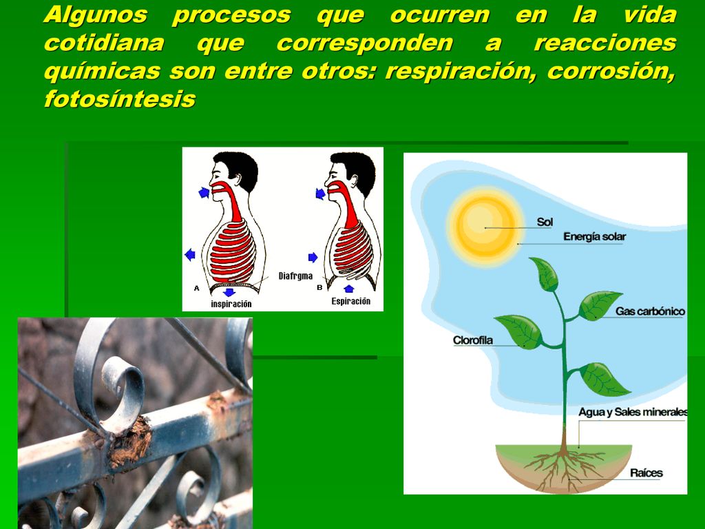 Algunos procesos que ocurren en la vida cotidiana que corresponden a reacciones químicas son entre otros: respiración, corrosión, fotosíntesis