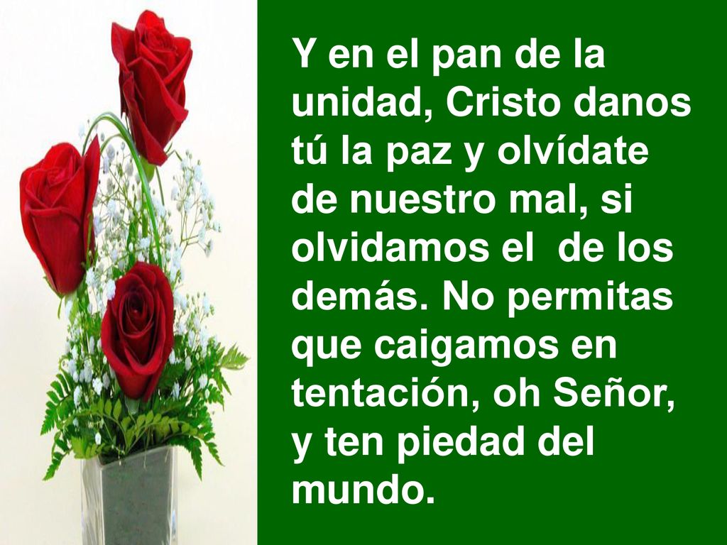 Y en el pan de la unidad, Cristo danos. tú la paz y olvídate. de nuestro mal, si. olvidamos el de los.