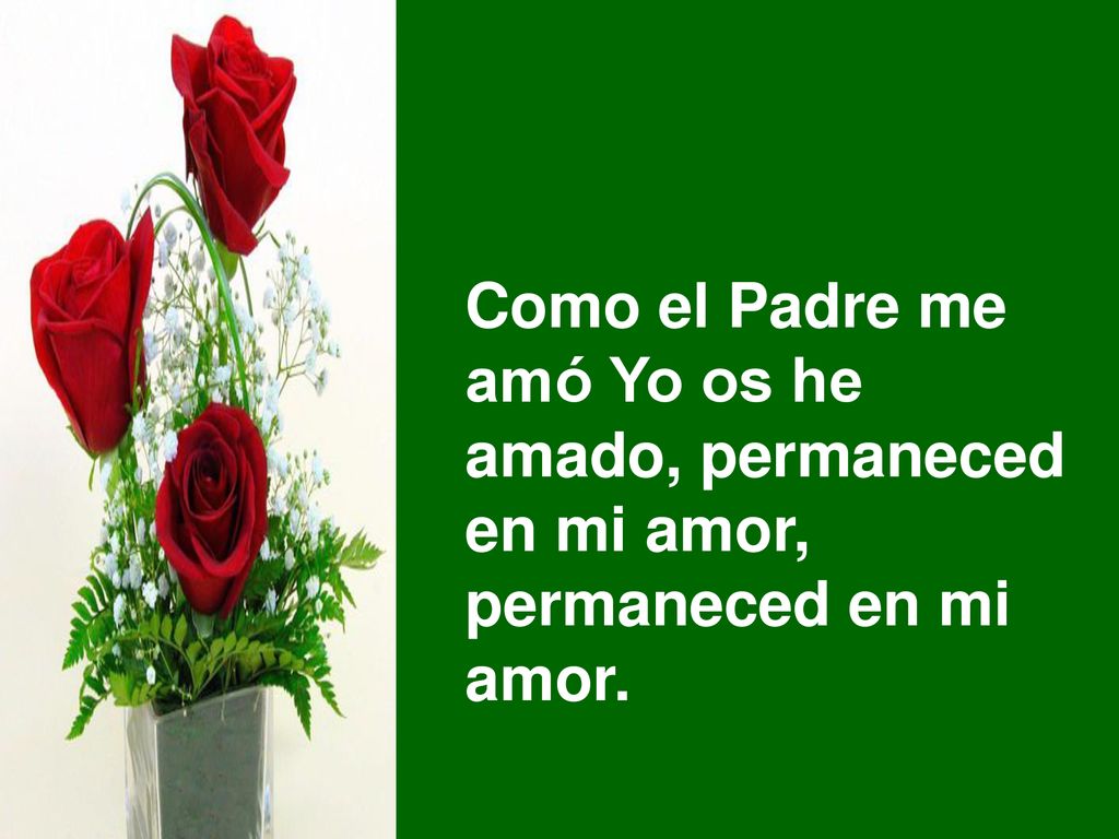 Como el Padre me amó Yo os he amado, permaneced en mi amor, permaneced en mi amor.