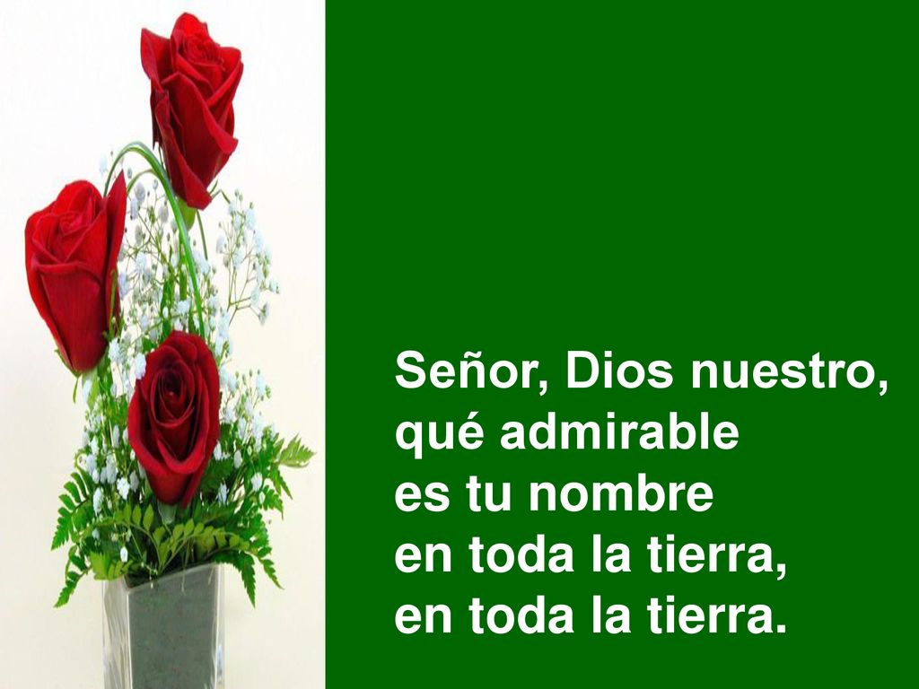 Señor, Dios nuestro, qué admirable es tu nombre en toda la tierra, en toda la tierra.