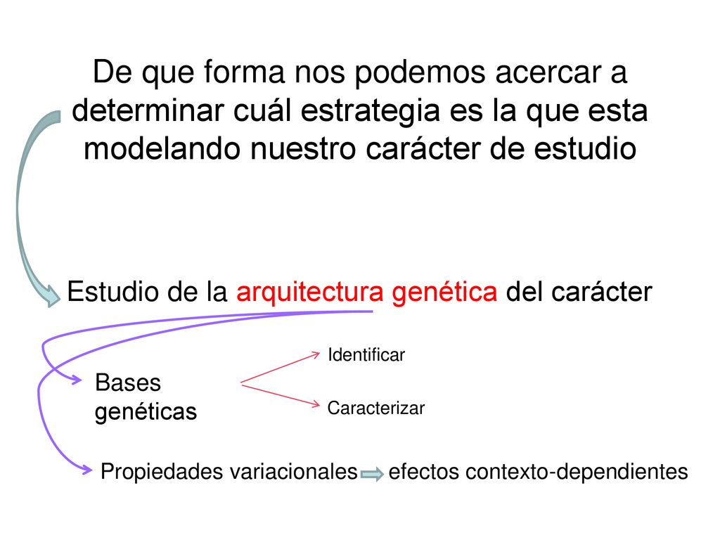 De que forma nos podemos acercar a determinar cuál estrategia es la que esta modelando nuestro carácter de estudio
